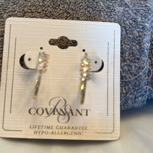Earrings. Post. Brand new. Never worn.